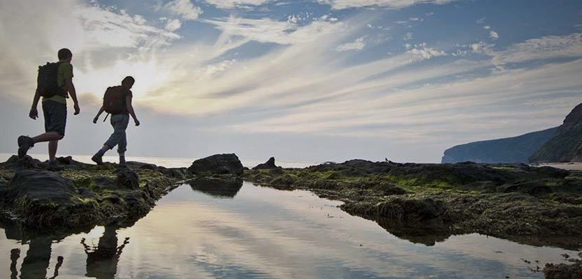 Discover Australia's Best Walks