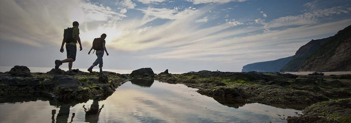 Discover Australia's Best Walks