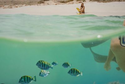 Moving to Western Australia